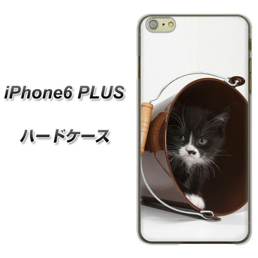 iPhone6 PLUS 高画質仕上げ 背面印刷 ハードケース【VA800 ネコとバケツ】
