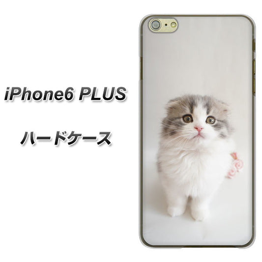iPhone6 PLUS 高画質仕上げ 背面印刷 ハードケース【VA803 まっていますネコ】