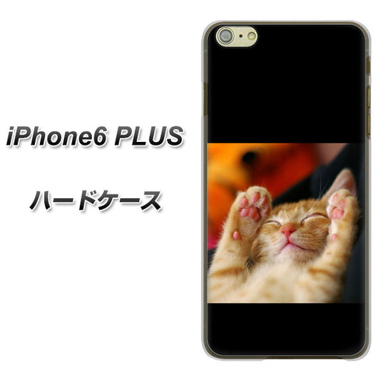 iPhone6 PLUS 高画質仕上げ 背面印刷 ハードケース【VA804 爆睡するネコ】