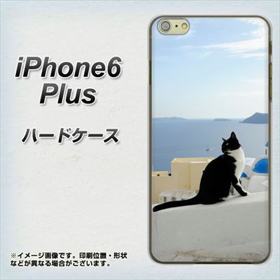 iPhone6 PLUS 高画質仕上げ 背面印刷 ハードケース【VA805 ネコと地中海】
