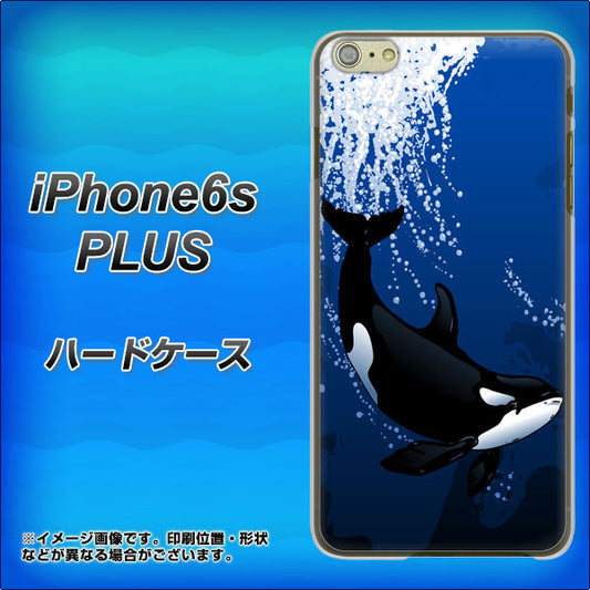 iPhone6s PLUS 高画質仕上げ 背面印刷 ハードケース【423 シャチ】