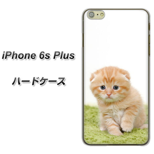 iPhone6s PLUS 高画質仕上げ 背面印刷 ハードケース【VA802 ネコこっそり】