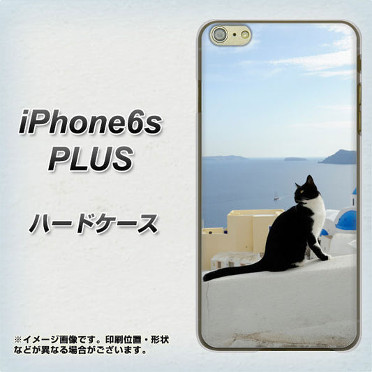 iPhone6s PLUS 高画質仕上げ 背面印刷 ハードケース【VA805 ネコと地中海】