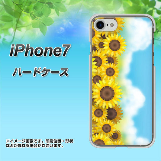 iPhone7 高画質仕上げ 背面印刷 ハードケース【148 ひまわり畑】