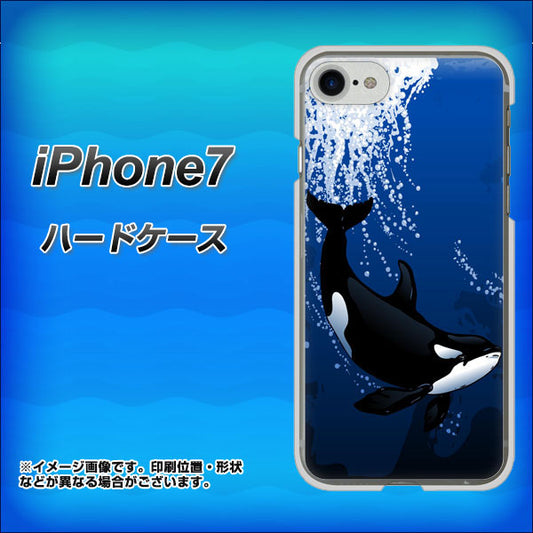 iPhone7 高画質仕上げ 背面印刷 ハードケース【423 シャチ】