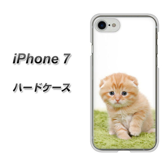 iPhone7 高画質仕上げ 背面印刷 ハードケース【VA802 ネコこっそり】
