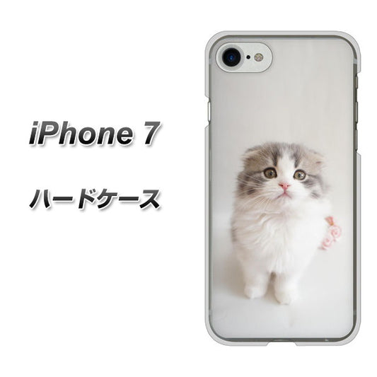 iPhone7 高画質仕上げ 背面印刷 ハードケース【VA803 まっていますネコ】