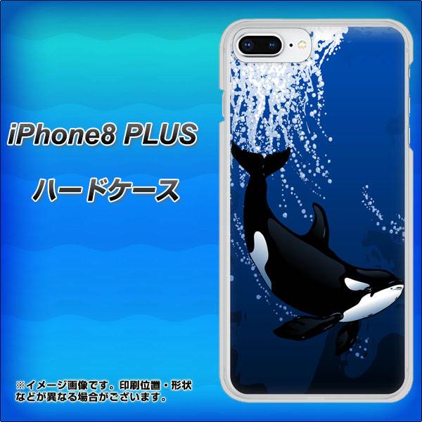 iPhone8 PLUS 高画質仕上げ 背面印刷 ハードケース【423 シャチ】