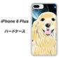 iPhone8 PLUS 高画質仕上げ 背面印刷 ハードケース【YD826 ゴールデンレトリバー02】