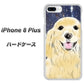 iPhone8 PLUS 高画質仕上げ 背面印刷 ハードケース【YD828 ゴールデンレトリバー04】