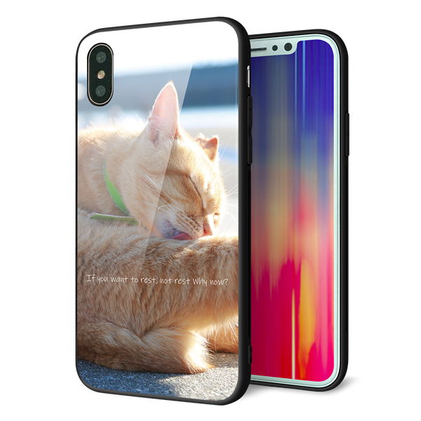 iPhone X 強化ガラス＆TPUスマホケース ガラプリ【KM876 猫】