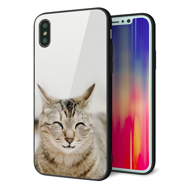 iPhone X 強化ガラス＆TPUスマホケース ガラプリ【VA801 笑福ねこ】