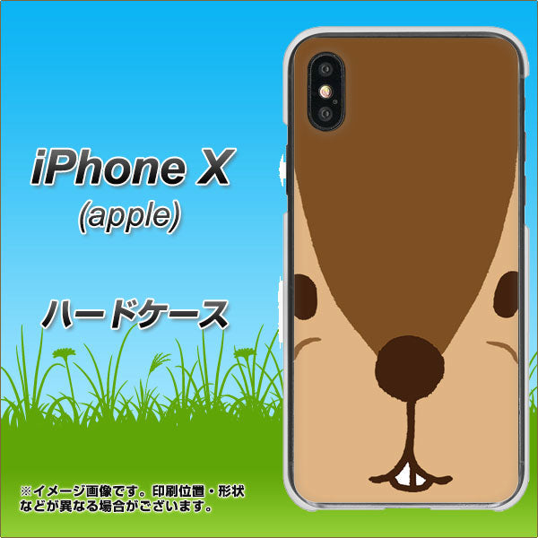 iPhone X 高画質仕上げ 背面印刷 ハードケース【349 りす】