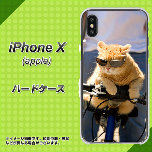 iPhone X 高画質仕上げ 背面印刷 ハードケース【595 にゃんとサイクル】
