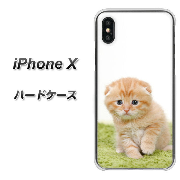 iPhone X 高画質仕上げ 背面印刷 ハードケース【VA802 ネコこっそり】