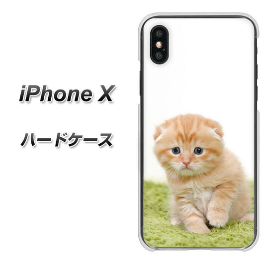 iPhone X 高画質仕上げ 背面印刷 ハードケース【VA802 ネコこっそり】