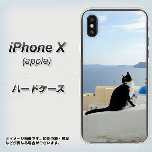 iPhone X 高画質仕上げ 背面印刷 ハードケース【VA805 ネコと地中海】