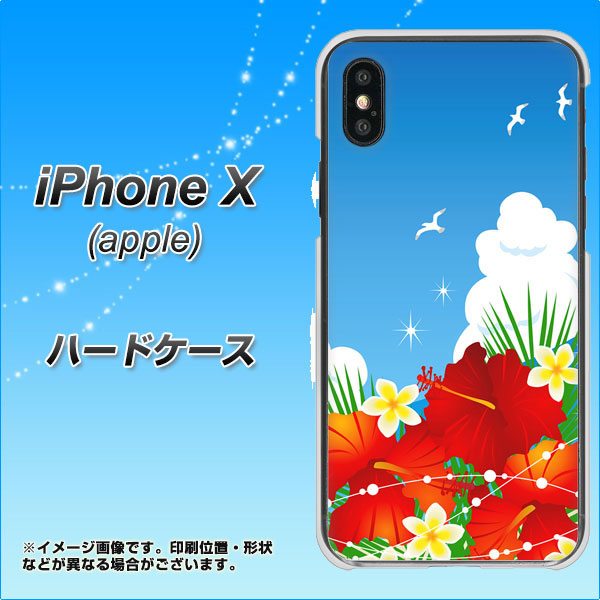 iPhone X 高画質仕上げ 背面印刷 ハードケース【VA821 ハイビスカスと青空】