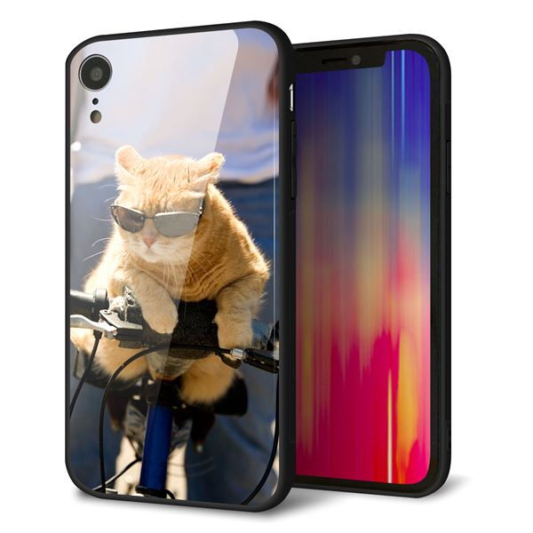iPhone XR 強化ガラス＆TPUスマホケース ガラプリ【595 にゃんとサイクル】