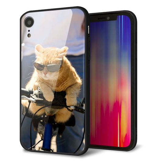 iPhone XR 強化ガラス＆TPUスマホケース ガラプリ【595 にゃんとサイクル】