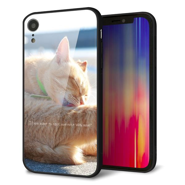 iPhone XR 強化ガラス＆TPUスマホケース ガラプリ【KM876 猫】