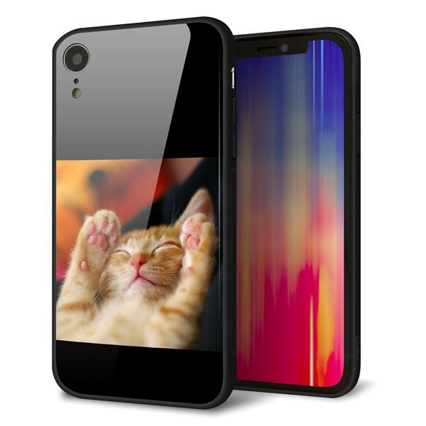 iPhone XR 強化ガラス＆TPUスマホケース ガラプリ【VA804 爆睡するネコ】
