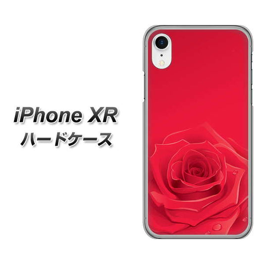 iPhone XR 高画質仕上げ 背面印刷 ハードケース【395 赤いバラ】