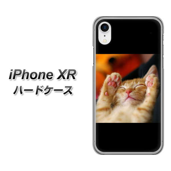 iPhone XR 高画質仕上げ 背面印刷 ハードケース【VA804 爆睡するネコ】