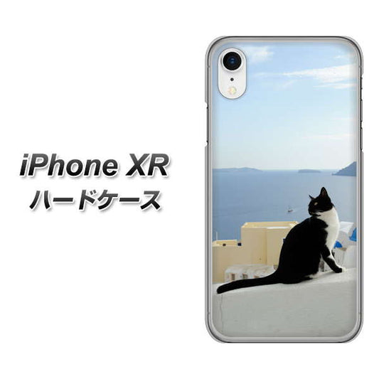 iPhone XR 高画質仕上げ 背面印刷 ハードケース【VA805 ネコと地中海】
