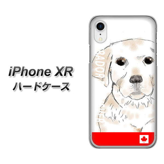 iPhone XR 高画質仕上げ 背面印刷 ハードケース【YD821 ラブラドールレトリバー02】