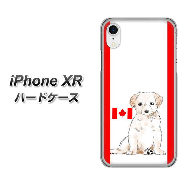 iPhone XR 高画質仕上げ 背面印刷 ハードケース【YD824 ラブラドールレトリバー05】