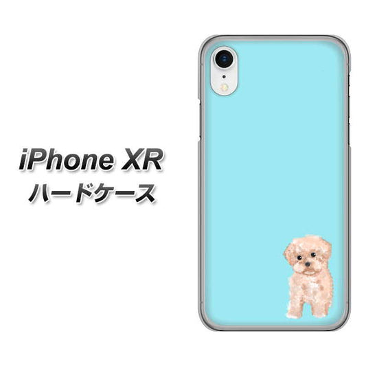 iPhone XR 高画質仕上げ 背面印刷 ハードケース【YJ062 トイプードルアプリコット（ブルー）】