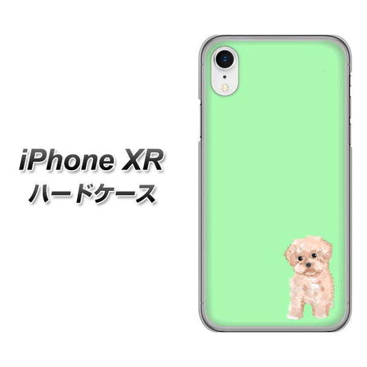 iPhone XR 高画質仕上げ 背面印刷 ハードケース【YJ063 トイプードルアプリコット（グリーン）】