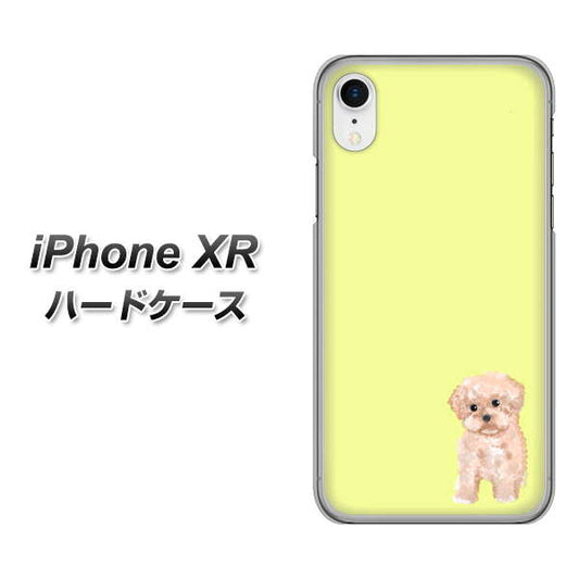 iPhone XR 高画質仕上げ 背面印刷 ハードケース【YJ064 トイプードルアプリコット（イエロー）】