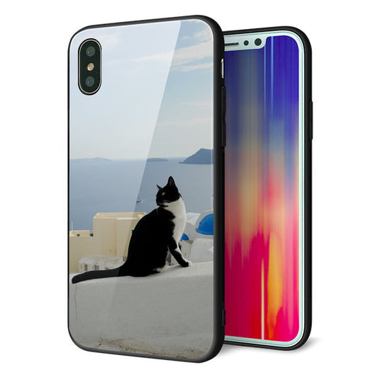 iPhone XS 強化ガラス＆TPUスマホケース ガラプリ【VA805 ネコと地中海】