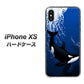 iPhone XS 高画質仕上げ 背面印刷 ハードケース【423 シャチ】