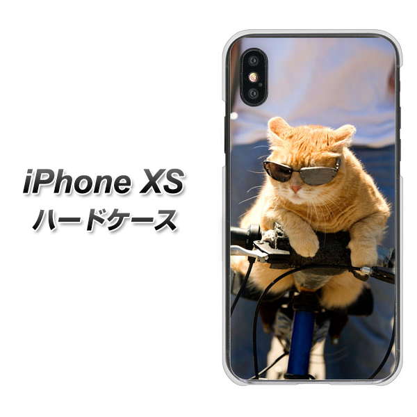 iPhone XS 高画質仕上げ 背面印刷 ハードケース【595 にゃんとサイクル】