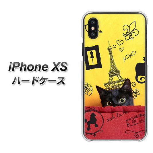 iPhone XS 高画質仕上げ 背面印刷 ハードケース【686 パリの子猫】