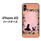 iPhone XS 高画質仕上げ 背面印刷 ハードケース【1096 お姫様とネコ（カラー）】