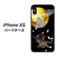 iPhone XS 高画質仕上げ 背面印刷 ハードケース【1115 月夜に散歩するネコ】