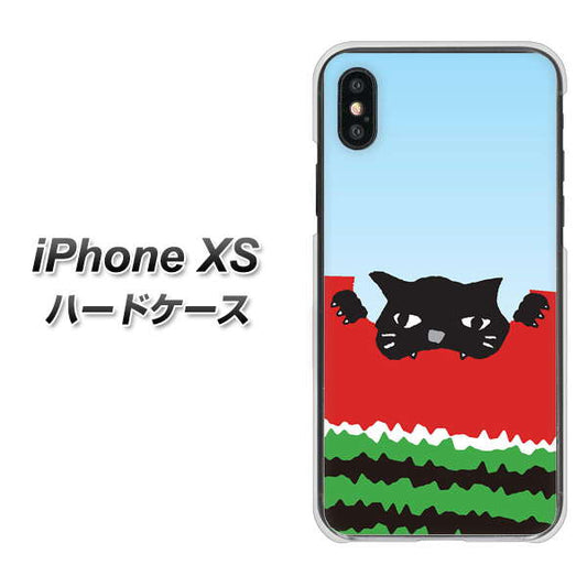 iPhone XS 高画質仕上げ 背面印刷 ハードケース【IA815 すいかをかじるネコ(大)】