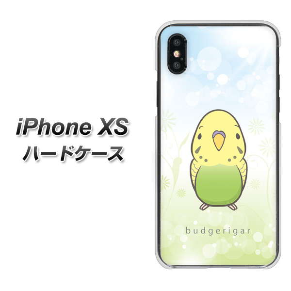 iPhone XS 高画質仕上げ 背面印刷 ハードケース【SC838 セキセイインコ グリーン】