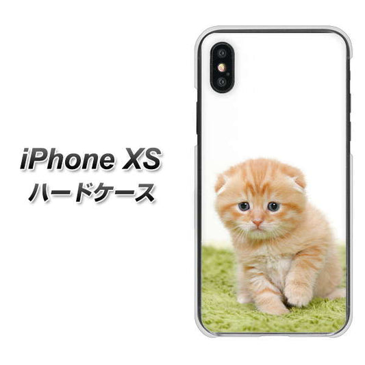 iPhone XS 高画質仕上げ 背面印刷 ハードケース【VA802 ネコこっそり】