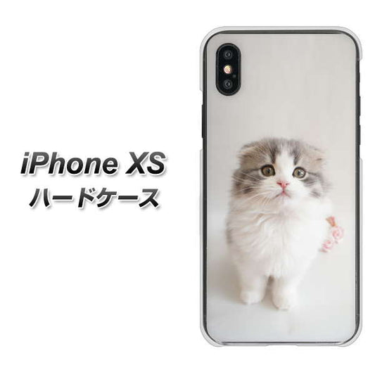 iPhone XS 高画質仕上げ 背面印刷 ハードケース【VA803 まっていますネコ】