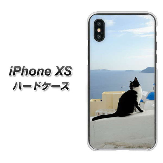 iPhone XS 高画質仕上げ 背面印刷 ハードケース【VA805 ネコと地中海】