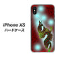 iPhone XS 高画質仕上げ 背面印刷 ハードケース【YC908 赤竜01】