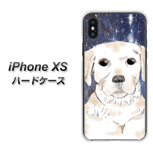 iPhone XS 高画質仕上げ 背面印刷 ハードケース【YD820 ラブラドールレトリバー01】