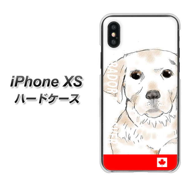 iPhone XS 高画質仕上げ 背面印刷 ハードケース【YD821 ラブラドールレトリバー02】