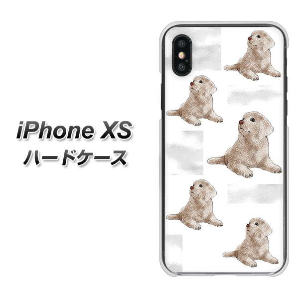 iPhone XS 高画質仕上げ 背面印刷 ハードケース【YD823 ラブラドールレトリバー04】