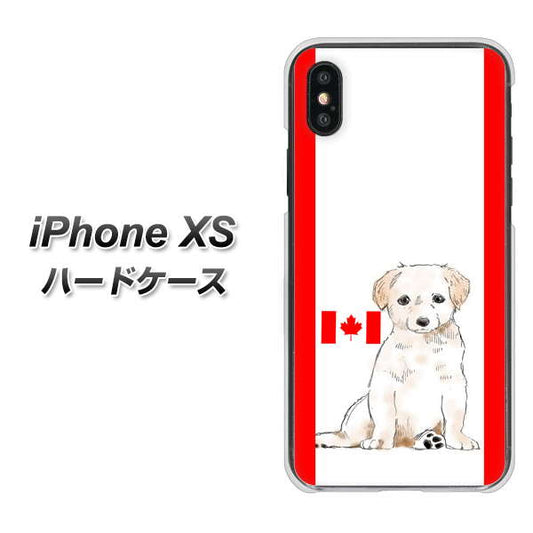 iPhone XS 高画質仕上げ 背面印刷 ハードケース【YD824 ラブラドールレトリバー05】